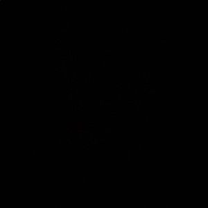 Meet your Posher, Renae